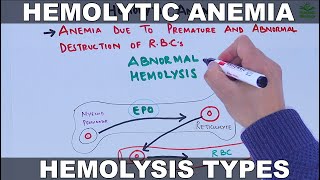 Hemolytic Anemia [upl. by Ashwell]