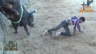 RANCHO TRES MARIAS EN ATEMAJAC DE BRIZUELA 26 DE FEB [upl. by Euseibbob124]