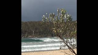 Pumping Pambula rivermouth [upl. by Adanar894]