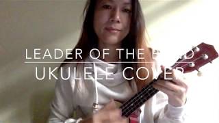 Leader Of The Band  Dan Fogelberg Ukulele Cover [upl. by Knowlton470]