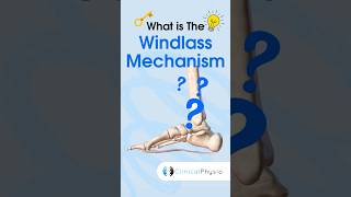 Windlass Mechanism physicaltherapy physiotherapy [upl. by Onilegna]