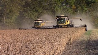 New Holland CR8090 Combines Harvesting Double Crop Soybeans [upl. by Kimberly780]