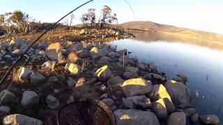 Trout Fishing Lake Jindabyne [upl. by Ambler]