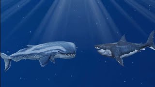 megalodon vs livyatan vs mosasaurus [upl. by Kcajyllib]