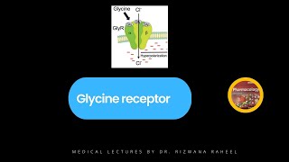 Glycine Receptors  Lippincott Pharmacology  Ketzung [upl. by Goldner]