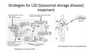 Lysosomal Storage Diseases LSD Strategies for treatment Code 136 [upl. by Stephanie989]