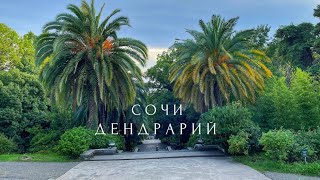 ГУЛЯЕМ ПО СОЧИДЕНДРАРИЙ [upl. by Adnim]