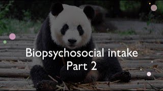 Biopsychosocial intake assessment part 2 [upl. by Ytirahs]