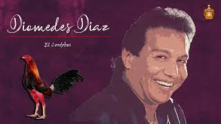 EL CORDOBES  DIOMEDES DIAZ PARRANDA [upl. by Vijnas]