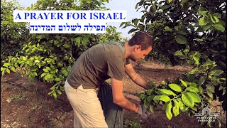 A Prayer for Israel [upl. by Luby807]