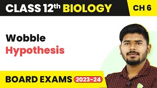 Class 12 Biology Chapter 6  Wobble Hypothesis  Molecular Basis of Inheritance 202223 [upl. by Ellenwahs437]