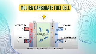 Molten Carbonate fuel cell [upl. by Ohcamac]