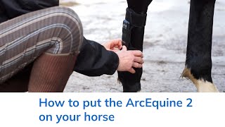 How to put your ArcEquine 2 on your horse [upl. by Pappas958]