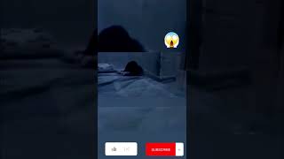 videos de terror para no dormir 😨 [upl. by Fleischer]