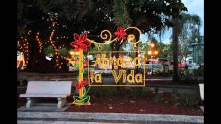 La navidad en la Plaza de Caguas Puerto Rico  2015 [upl. by Esilahc]