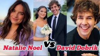 Natalie Noel Vs David Dobrik Lifestyle Relationship Biography Age Height Weight Net Worth 2024 [upl. by Lilybelle354]