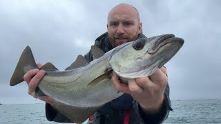 Pollock Fishing in challenging conditions The Maidens Larne [upl. by Ennairrek]