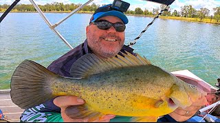 Yellowbelly and Australian Bass Fishing [upl. by Yesiad]