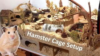 New Cage and New Setup for my Hamster [upl. by Revlis]