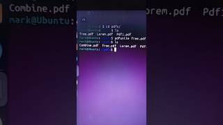 How to Merge Multiple PDFs Into One Single File on Linux [upl. by Siaht]