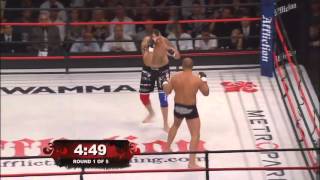 Fedor Emelianenko Legendary Moments 2013 HD [upl. by Sanborn]