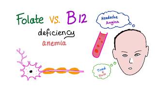 Folate Deficiency vs Vitamin B12 Deficiency  Diet and Nutrition  Hematology [upl. by Yetti133]