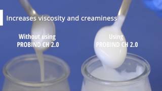 PROBIND® CH 20 Transglutaminase in Yogurt and Fermented Milk Products [upl. by Stefan]