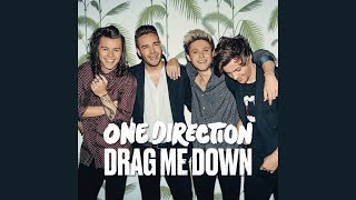 One Direction  Drag Me Down Official Instrumental [upl. by Drucilla]