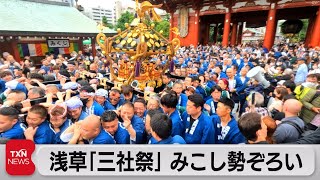 三社祭 ４年ぶり本格開催（2023年5月20日） [upl. by Hailey]