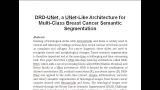 DRD UNet a UNet Like Architecture for Multi Class Breast Cancer Semantic Segmentation [upl. by Loggia893]