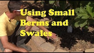 Watering With Small Berms and Swales [upl. by Winnah]