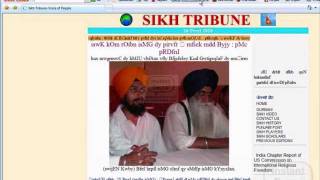 65 Punjabi Newspapers includes Ajit Jalandhar Jagbani Punjabi Tribune [upl. by Attenol755]