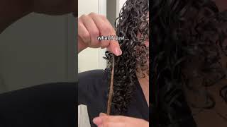 I’TS NOT PERMANENT  curly curlyhairstyles foryou hair hairgrowth fypシ゚viral afro [upl. by Eiser]