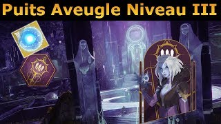 Destiny 2  Gameplay Puits Aveugle Niveau III [upl. by Mencher695]