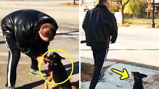 Man Abandons Scared Dog at the Park Watch How a Good Samaritan Stands Up to Him [upl. by Veleda]