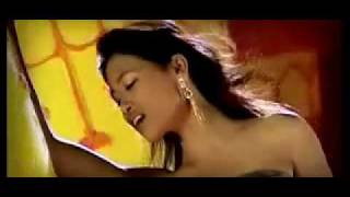 New Nepali Remix Song Chithi Aayena  flv [upl. by Pallas]