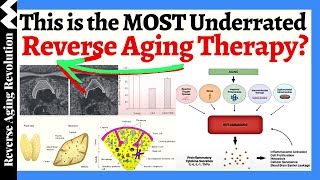 THIS is the MOST Underrated Reverse Aging Therapy Reversed 8 Years Biological Age In A Year [upl. by Rimahs]