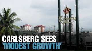 NEWS Carlsberg sees modest growth in FY19 [upl. by Herta]