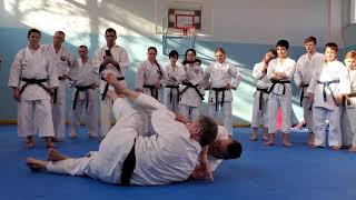 Kanku Sho Kata with Shihan Dormenko Andrey 8 Dan ISKF  Part 2 Action options Path variability [upl. by Adnar585]