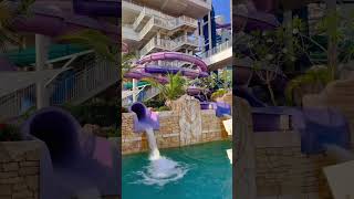 Aquaventure Waterpark Dubai  Atlantis Waterpark  Dubai Waterpark [upl. by Limann]