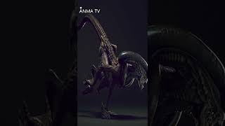 Curiosidades y lore del cine El Xenomorfo runner y el dog xenomorfo de Alien 3 [upl. by Autrey536]