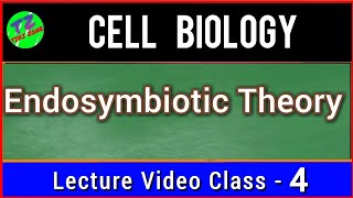 Endosymbiotic Theory  Symbiogenesis  Evolution Of Eukaryotic Cell [upl. by Liddle]