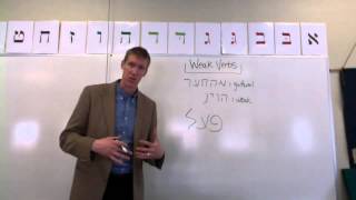 Overview of Weak Letters and Verbs [upl. by Hadihahs]