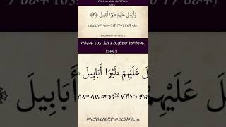 quran surah Fil amharic quranamharic ቁርአን አማርኛ habesha [upl. by Atiken670]