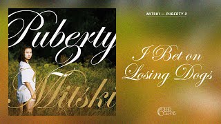 Mitski  I Bet on Losing Dogs Official Audio [upl. by Montfort]