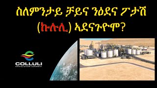 ስለምንታይ ቻይና ንዕደና ፖታሽ ዘይጀመርዎ  Why Chinas SRBG Not Started Colluli Potash Mining In Eritrea [upl. by Hagan379]