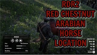 RDR2 RED CHESTNUT ARABIAN HORSE LOCATION [upl. by Malda]