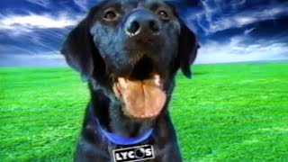 Lycos Search Engine 90s TV Commercial 1999 [upl. by Ramel]