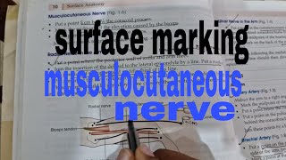 surface marking of musculocutaneous nerve anatomy [upl. by Kcirevam677]