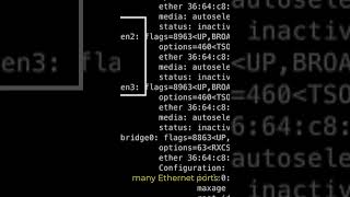 What are Linux Commands IPConfig and IfConfig [upl. by Ingram]